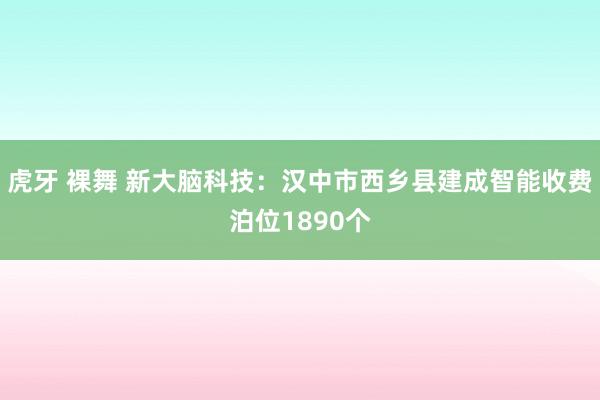 虎牙 裸舞 新大脑科技：汉中市西乡县建成智能收费泊位1890个