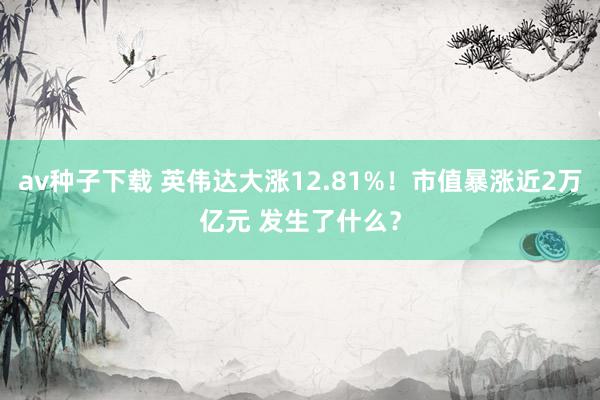 av种子下载 英伟达大涨12.81%！市值暴涨近2万亿元 发生了什么？