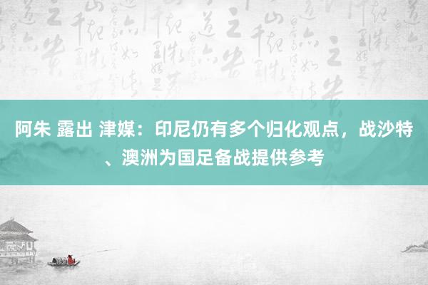 阿朱 露出 津媒：印尼仍有多个归化观点，战沙特、澳洲为国足备战提供参考