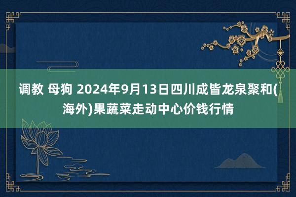 调教 母狗 2024年9月13日四川成皆龙泉聚和(海外)果蔬菜走动中心价钱行情