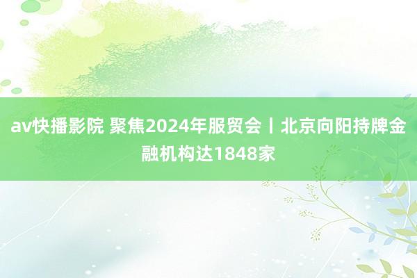 av快播影院 聚焦2024年服贸会丨北京向阳持牌金融机构达1848家