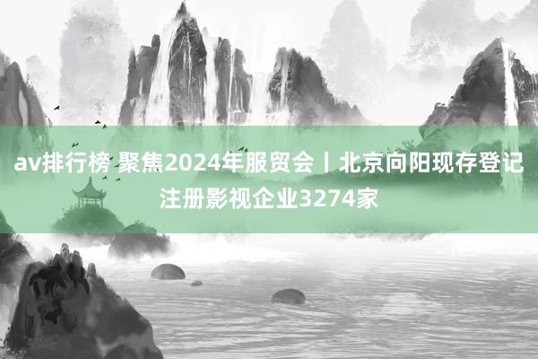 av排行榜 聚焦2024年服贸会丨北京向阳现存登记注册影视企业3274家