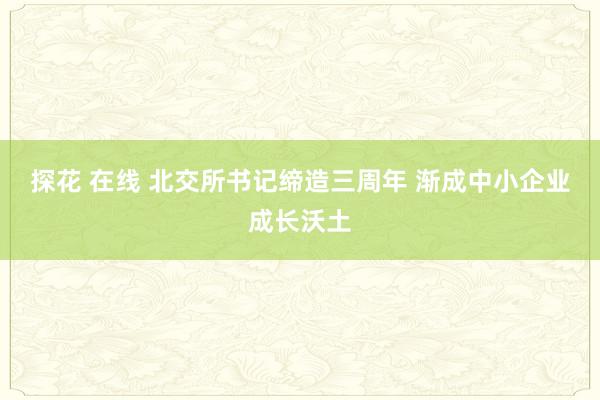 探花 在线 北交所书记缔造三周年 渐成中小企业成长沃土