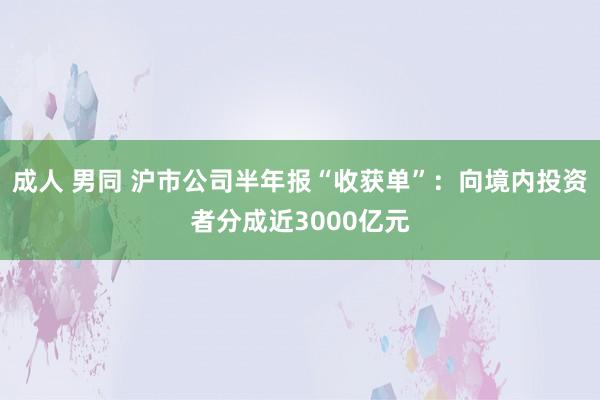 成人 男同 沪市公司半年报“收获单”：向境内投资者分成近3000亿元