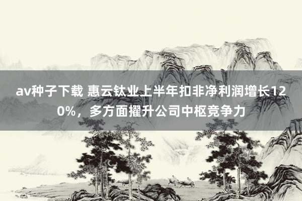 av种子下载 惠云钛业上半年扣非净利润增长120%，多方面擢升公司中枢竞争力