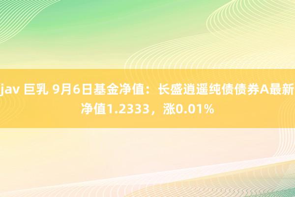 jav 巨乳 9月6日基金净值：长盛逍遥纯债债券A最新净值1.2333，涨0.01%