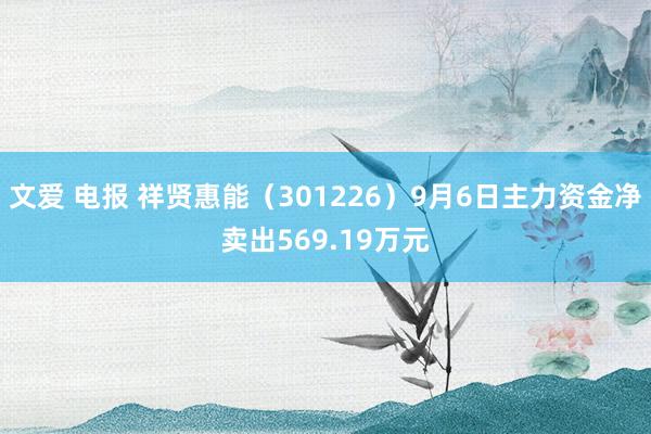 文爱 电报 祥贤惠能（301226）9月6日主力资金净卖出569.19万元