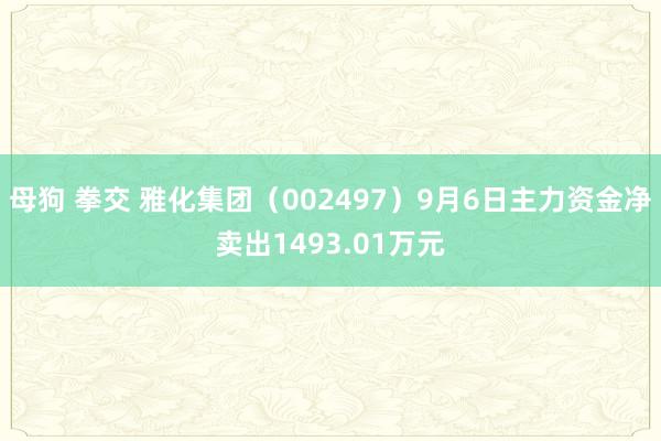 母狗 拳交 雅化集团（002497）9月6日主力资金净卖出1493.01万元