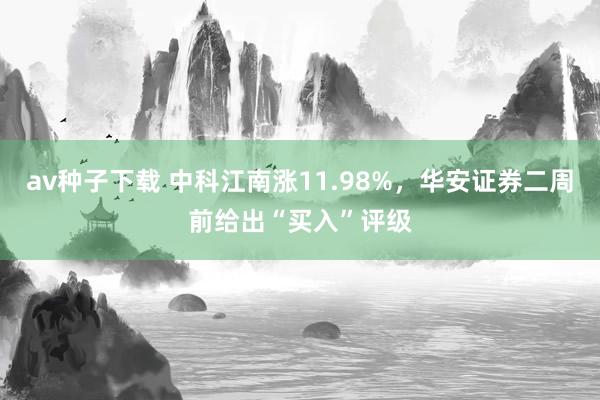 av种子下载 中科江南涨11.98%，华安证券二周前给出“买入”评级