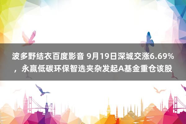 波多野结衣百度影音 9月19日深城交涨6.69%，永赢低碳环保智选夹杂发起A基金重仓该股