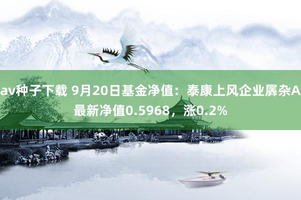 av种子下载 9月20日基金净值：泰康上风企业羼杂A最新净值0.5968，涨0.2%