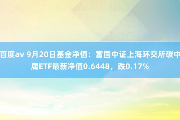 百度av 9月20日基金净值：富国中证上海环交所碳中庸ETF最新净值0.6448，跌0.17%