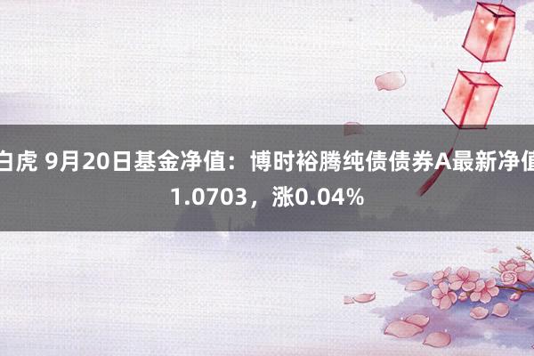 白虎 9月20日基金净值：博时裕腾纯债债券A最新净值1.0703，涨0.04%