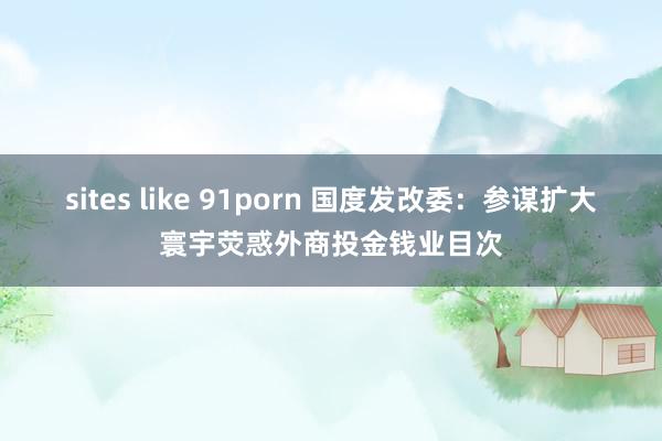 sites like 91porn 国度发改委：参谋扩大寰宇荧惑外商投金钱业目次