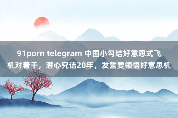 91porn telegram 中国小勾结好意思式飞机对着干，潜心究诘20年，发誓要领悟好意思机