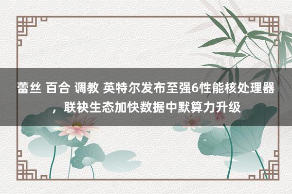 蕾丝 百合 调教 英特尔发布至强6性能核处理器，联袂生态加快数据中默算力升级