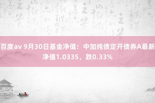 百度av 9月30日基金净值：中加纯债定开债券A最新净值1.0335，跌0.33%