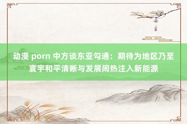 动漫 porn 中方谈东亚勾通：期待为地区乃至寰宇和平清晰与发展闹热注入新能源