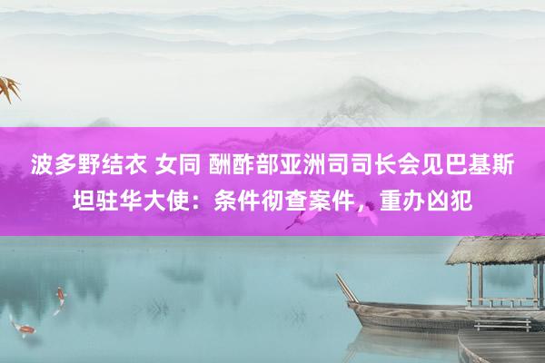 波多野结衣 女同 酬酢部亚洲司司长会见巴基斯坦驻华大使：条件彻查案件，重办凶犯