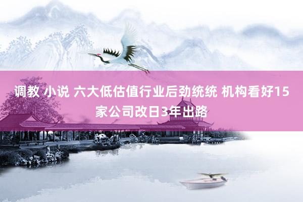 调教 小说 六大低估值行业后劲统统 机构看好15家公司改日3年出路