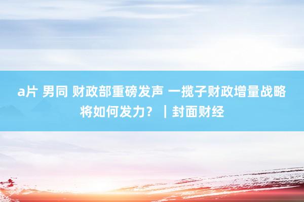 a片 男同 财政部重磅发声 一揽子财政增量战略将如何发力？｜封面财经