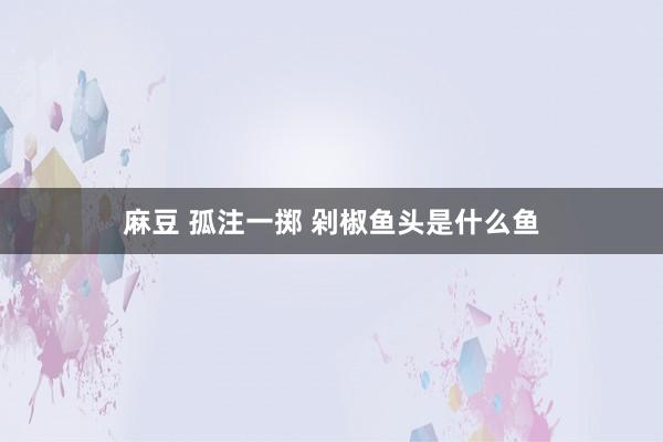 麻豆 孤注一掷 剁椒鱼头是什么鱼