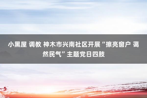 小黑屋 调教 神木市兴南社区开展“擦亮窗户 蔼然民气”主题党日四肢