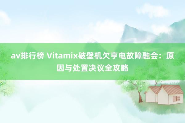 av排行榜 Vitamix破壁机欠亨电故障融会：原因与处置决议全攻略