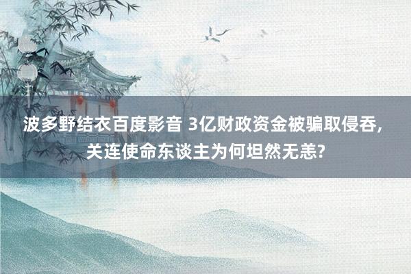 波多野结衣百度影音 3亿财政资金被骗取侵吞， 关连使命东谈主为何坦然无恙?