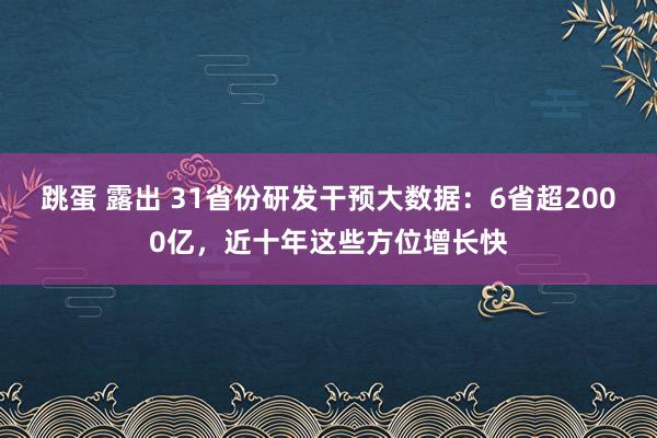 跳蛋 露出 31省份研发干预大数据：6省超2000亿，近十年这些方位增长快