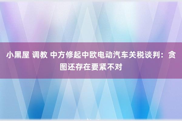 小黑屋 调教 中方修起中欧电动汽车关税谈判：贪图还存在要紧不对