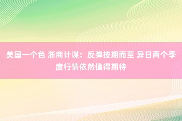 美国一个色 浙商计谋：反弹按期而至 异日两个季度行情依然值得期待