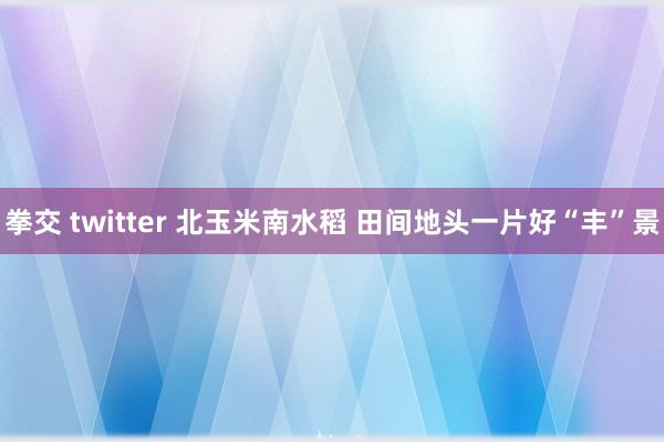 拳交 twitter 北玉米南水稻 田间地头一片好“丰”景