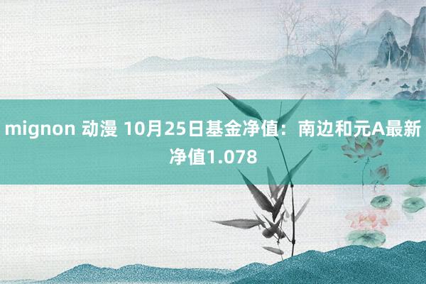 mignon 动漫 10月25日基金净值：南边和元A最新净值1.078