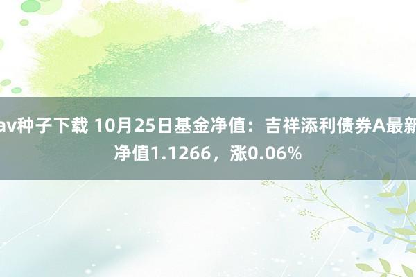 av种子下载 10月25日基金净值：吉祥添利债券A最新净值1.1266，涨0.06%