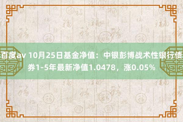 百度av 10月25日基金净值：中银彭博战术性银行债券1-5年最新净值1.0478，涨0.05%