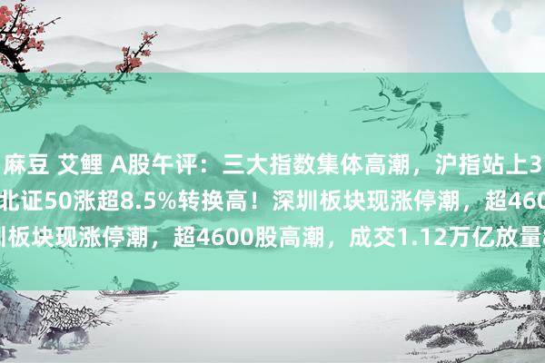 麻豆 艾鲤 A股午评：三大指数集体高潮，沪指站上3300点创指涨3.45%北证50涨超8.5%转换高！深圳板块现涨停潮，超4600股高潮，成交1.12万亿放量897亿