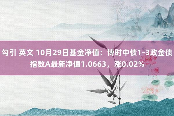 勾引 英文 10月29日基金净值：博时中债1-3政金债指数A最新净值1.0663，涨0.02%