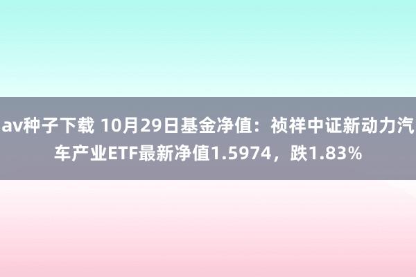 av种子下载 10月29日基金净值：祯祥中证新动力汽车产业ETF最新净值1.5974，跌1.83%