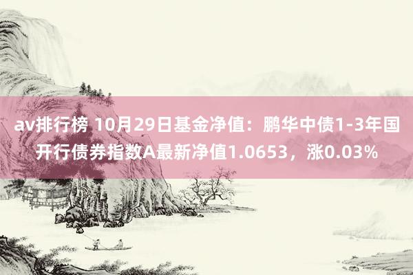 av排行榜 10月29日基金净值：鹏华中债1-3年国开行债券指数A最新净值1.0653，涨0.03%