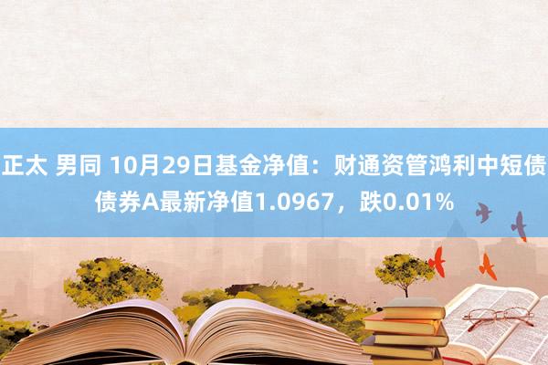 正太 男同 10月29日基金净值：财通资管鸿利中短债债券A最新净值1.0967，跌0.01%