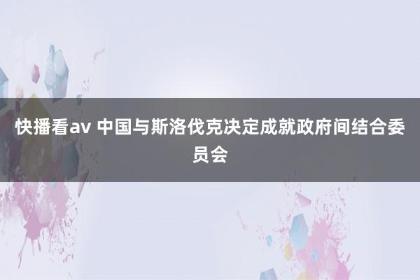 快播看av 中国与斯洛伐克决定成就政府间结合委员会