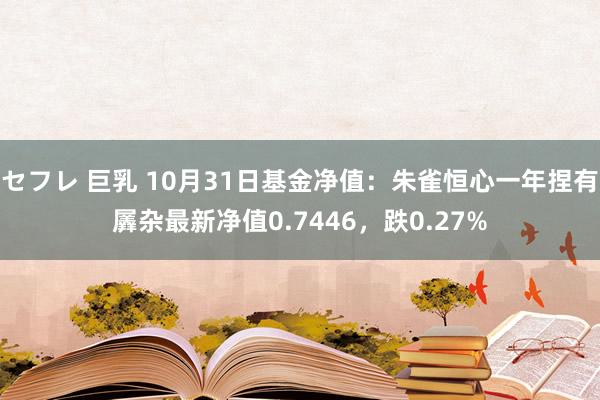 セフレ 巨乳 10月31日基金净值：朱雀恒心一年捏有羼杂最新净值0.7446，跌0.27%