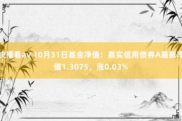 快播看av 10月31日基金净值：嘉实信用债券A最新净值1.3075，涨0.03%