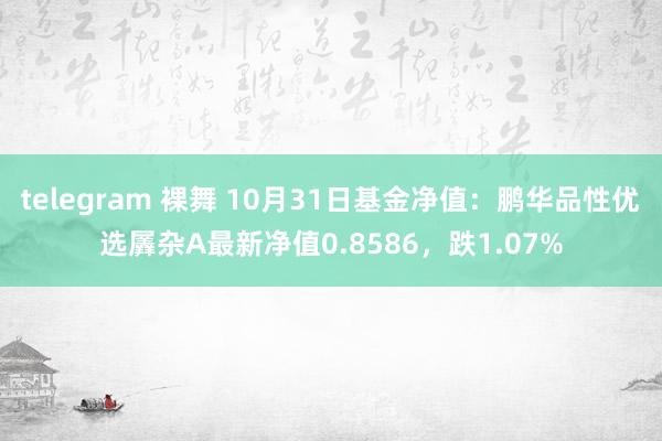 telegram 裸舞 10月31日基金净值：鹏华品性优选羼杂A最新净值0.8586，跌1.07%