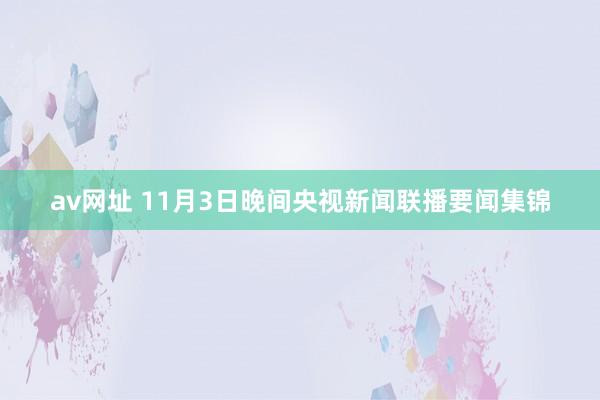 av网址 11月3日晚间央视新闻联播要闻集锦