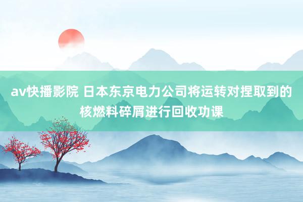 av快播影院 日本东京电力公司将运转对捏取到的核燃料碎屑进行回收功课