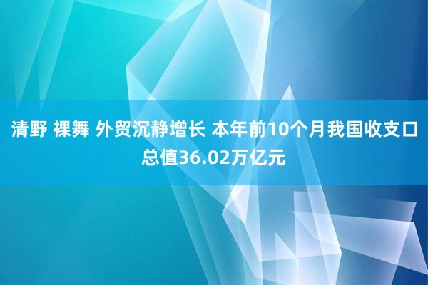 清野 裸舞 外贸沉静增长 本年前10个月我国收支口总值36.02万亿元