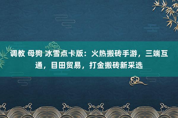 调教 母狗 冰雪点卡版：火热搬砖手游，三端互通，目田贸易，打金搬砖新采选