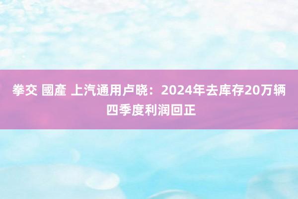 拳交 國產 上汽通用卢晓：2024年去库存20万辆 四季度利润回正